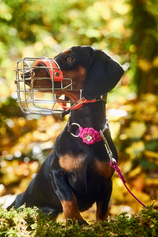 Halsband „Ratatouille”