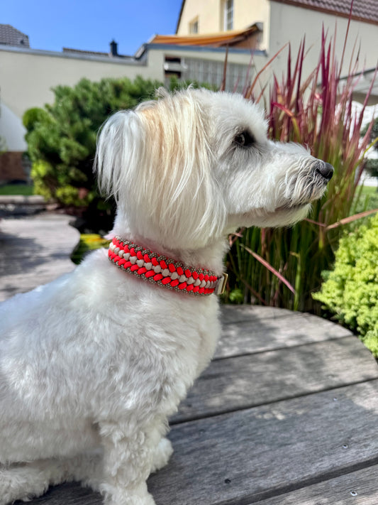 Halsband „Räuber“