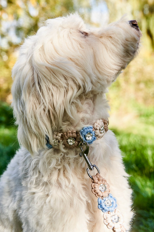 Bestseller: Mix & Match Leine inkl. Blümchen und Halsband - Feiner Bub