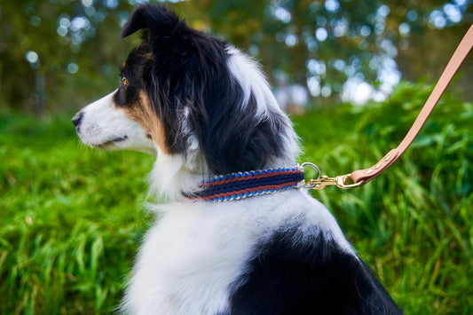 Halsband „Wie ein Großer“
