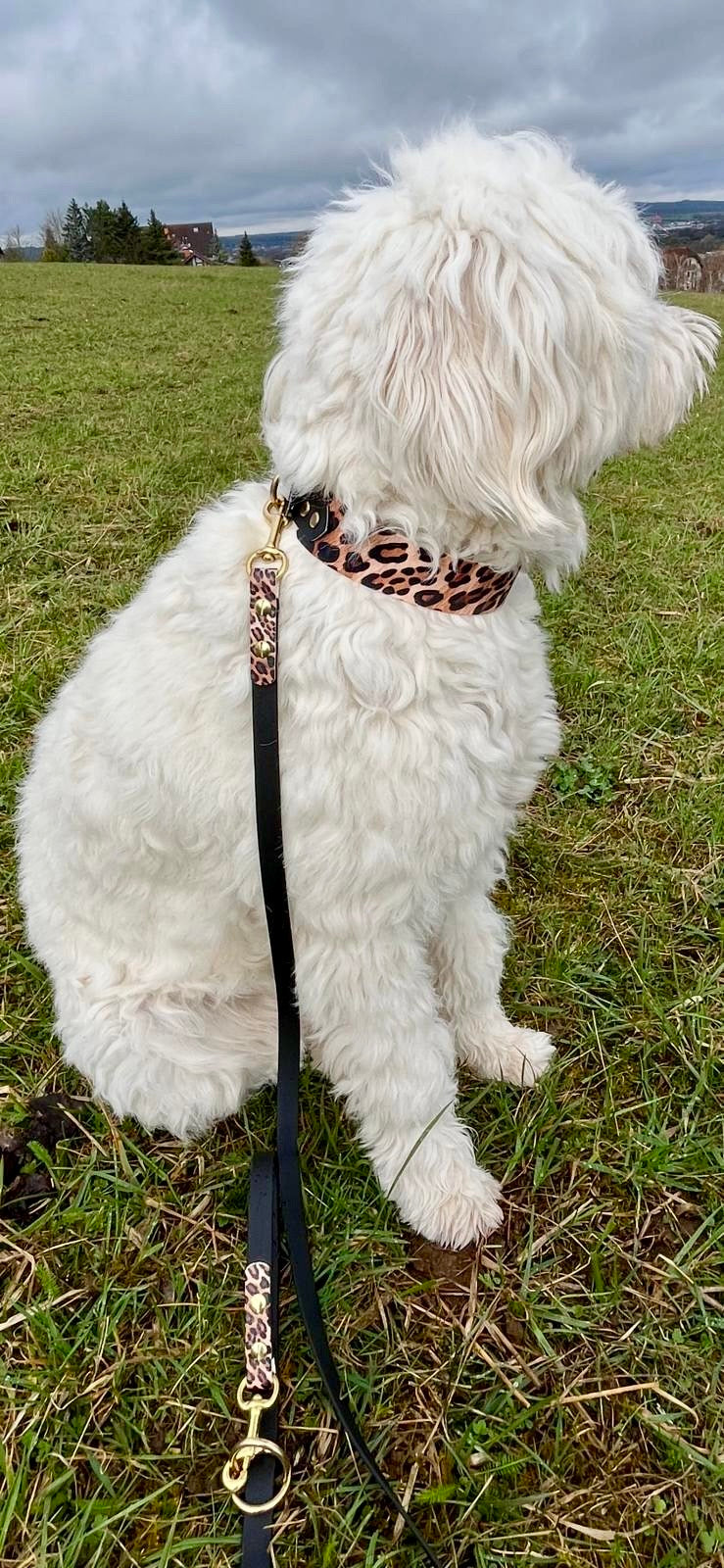 Limited Edition Biothaneleine mit Leoprint-Akzenten