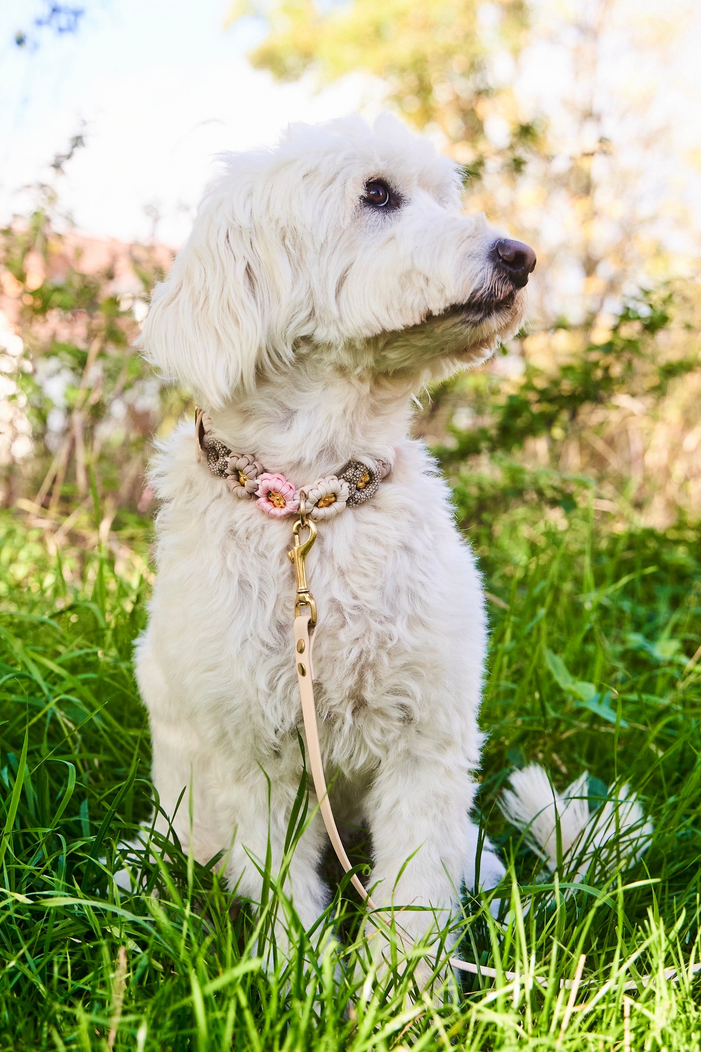 Halsband „Blümchen"