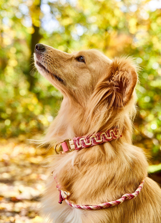 Halsband „Swöti"