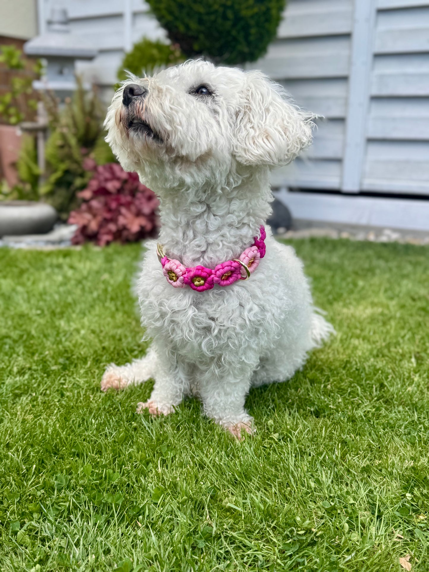 Halsband „Blümchen"