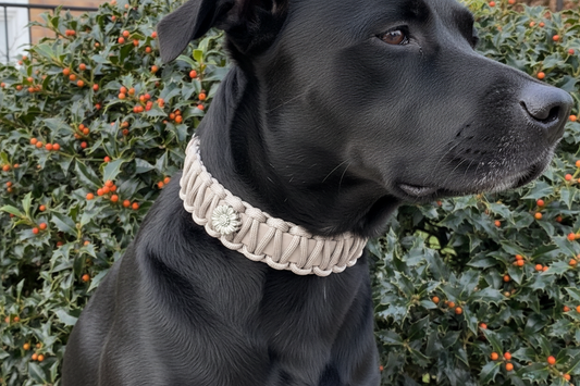 Limited Edition Halsband „Fledermaus" mit silbernen Edelweiß