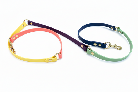 Biothaneleine „Harlekin“