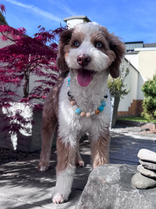 EM-Keramik-Perlen Schmuckhalsband