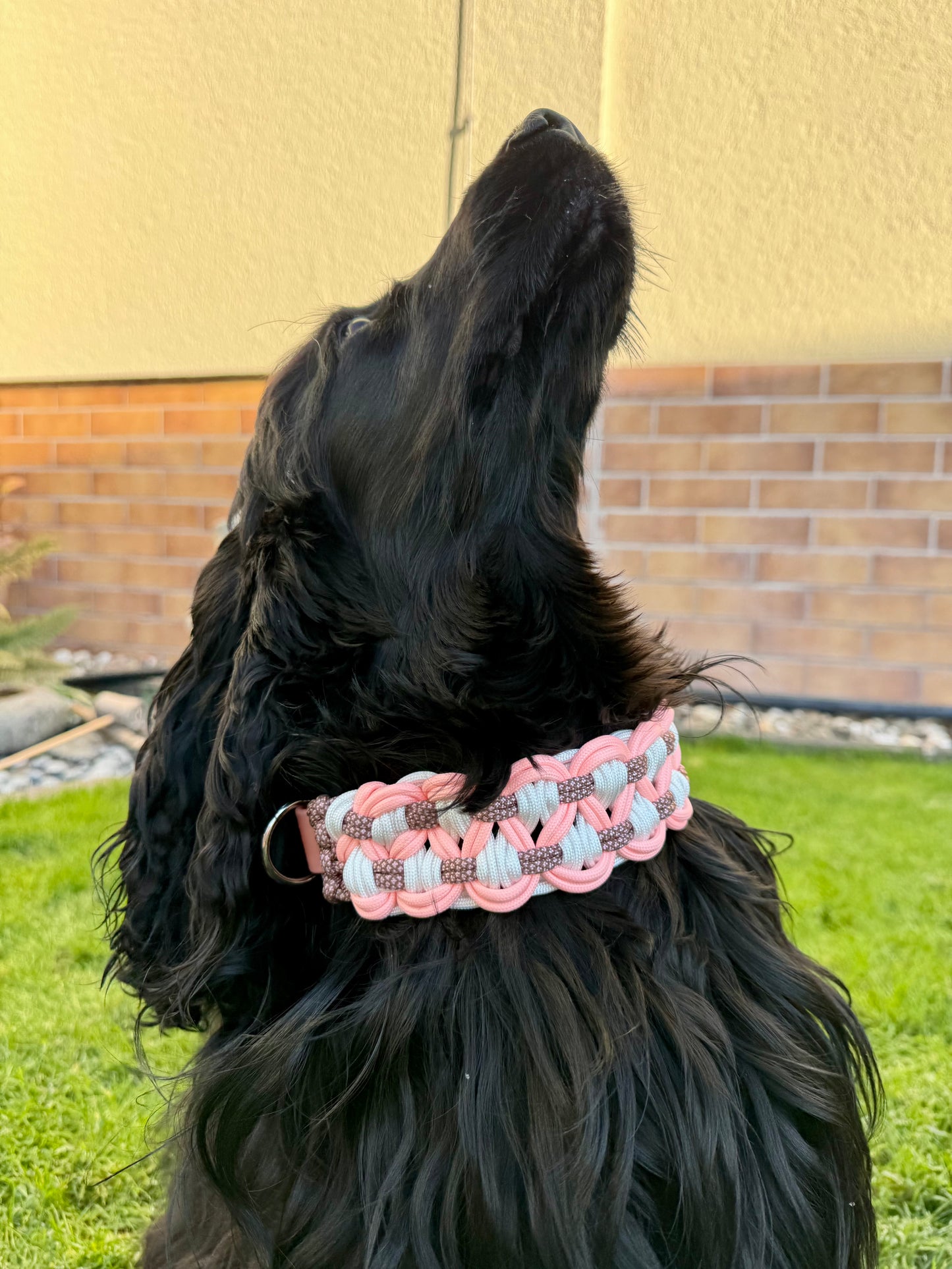 Halsband „Erdmännchen"