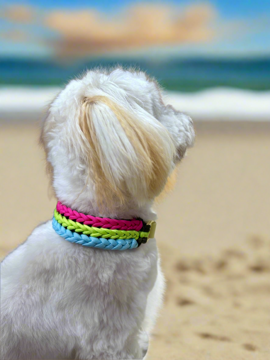 Halsband “Frechdachs“