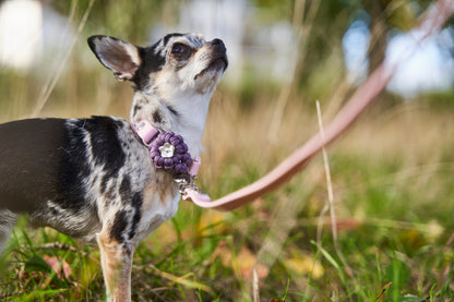 Halsband „Ratatouille”