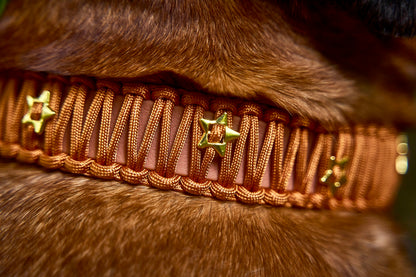 Halsband „Fledermaus"
