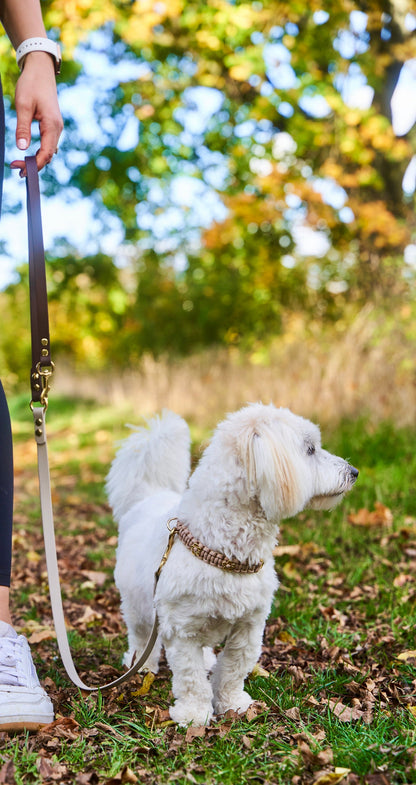 Halsband „Liebling“