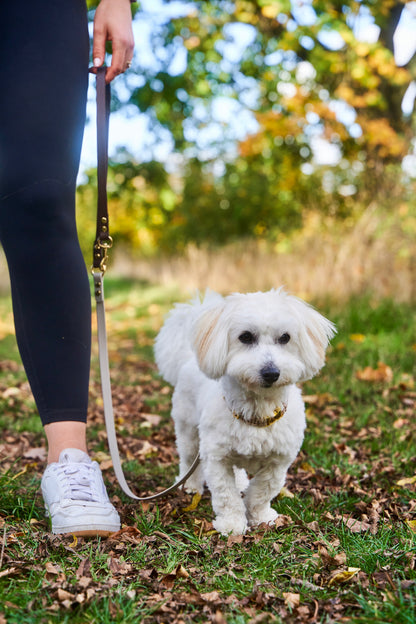 Biothaneleine „Bi-Color“