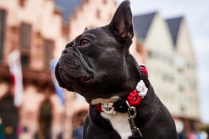 SGE - Halsband „Blümchen"