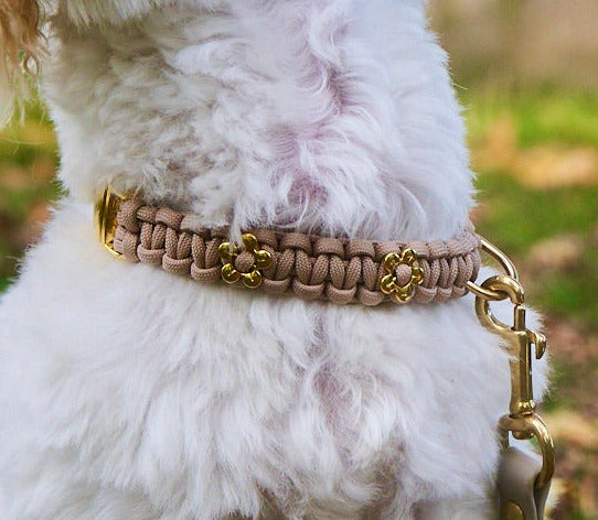 Halsband „Liebling“