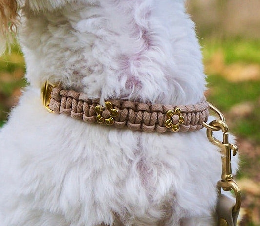 Halsband „Liebling“