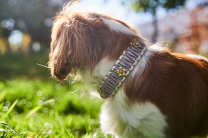 Halsband „Fledermaus"
