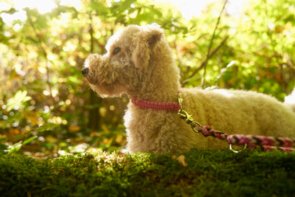 Halsband „Liebling“