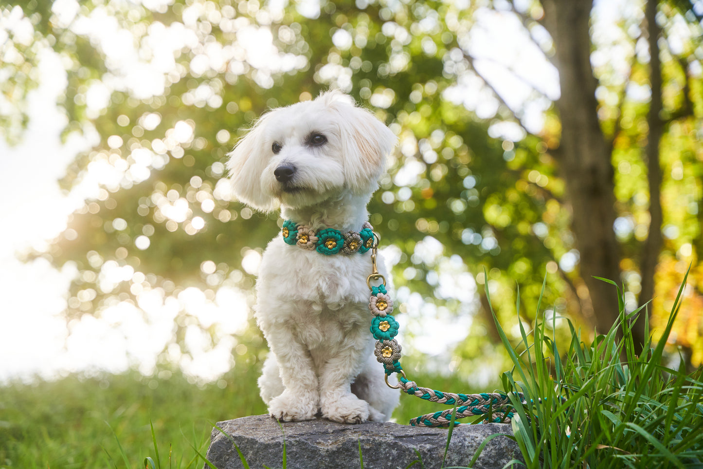 Halsband „Blümchen"