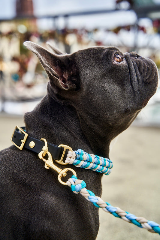 Halsband „Struppi"