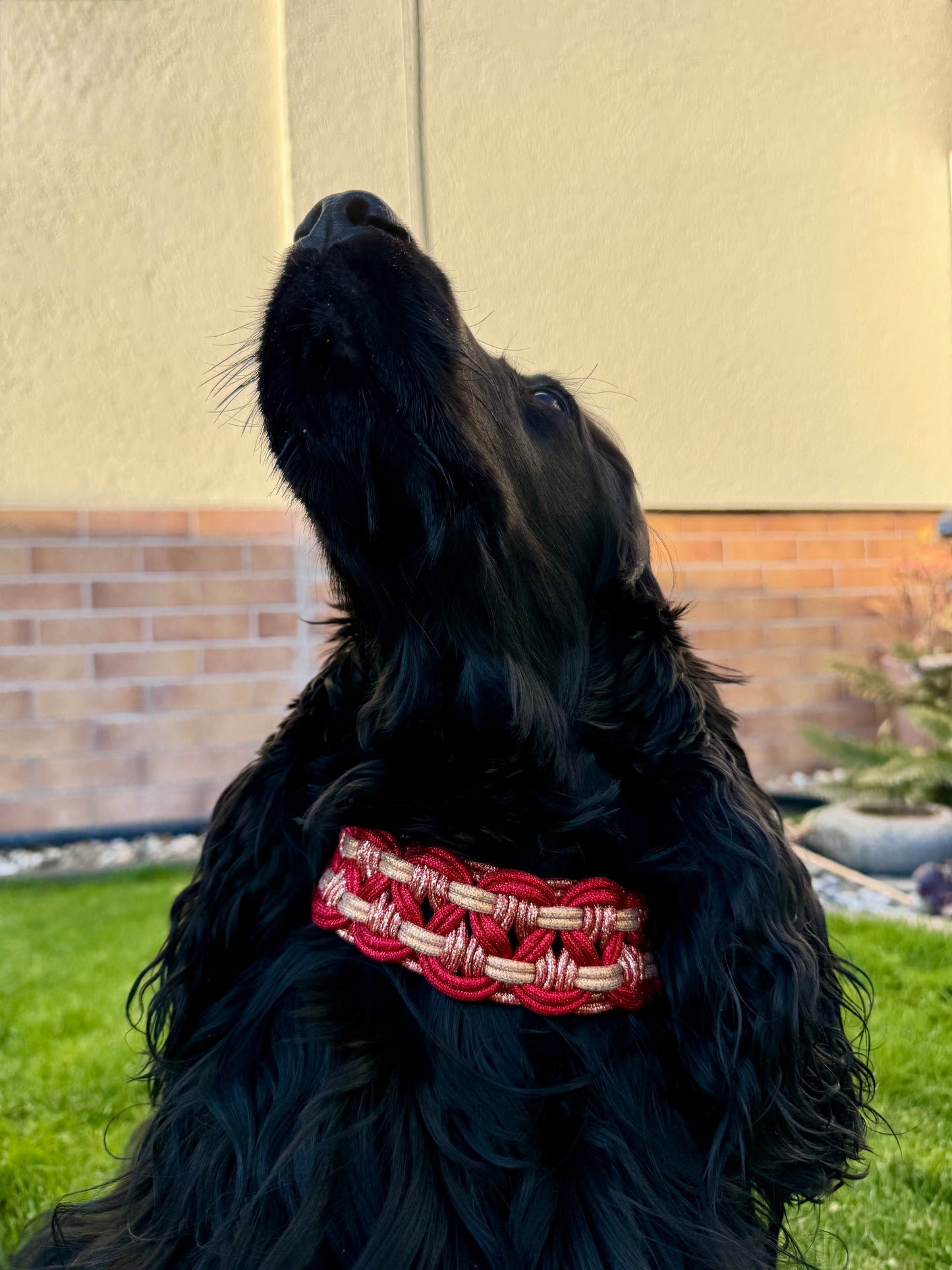 Halsband „Erdmännchen"