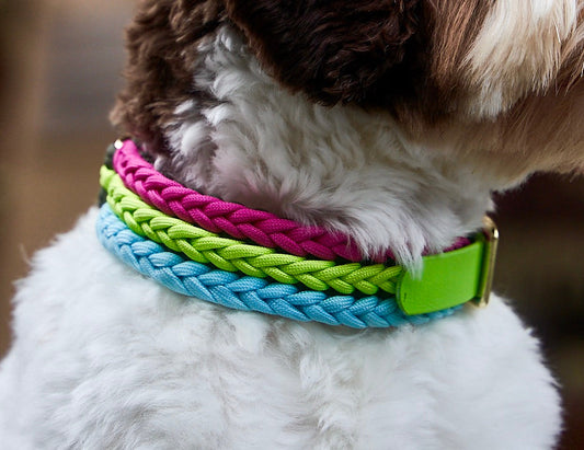 Halsband „Frechdachs“