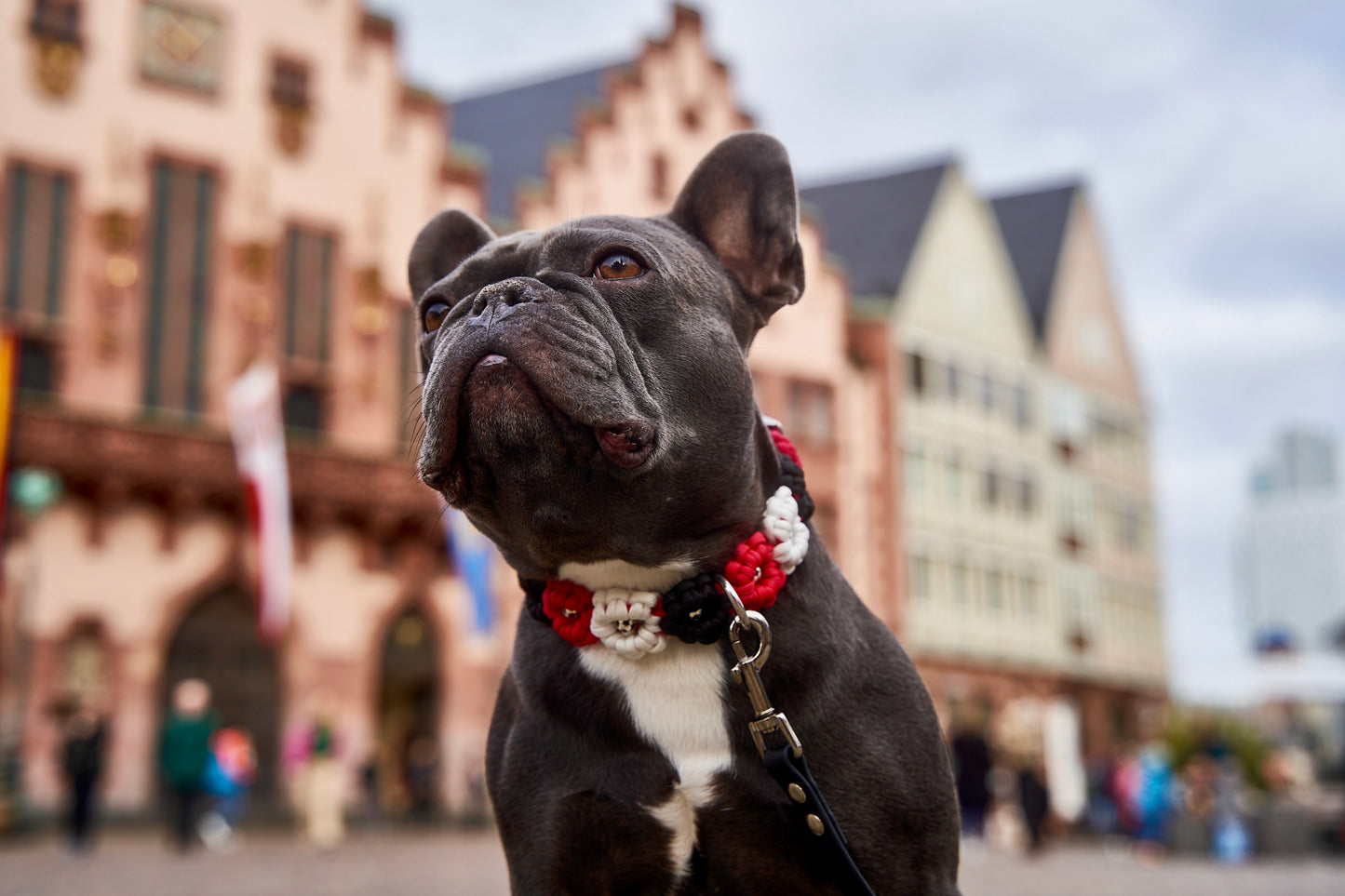 SGE - Halsband „Blümchen"