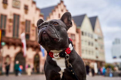 SGE - Halsband „Blümchen"