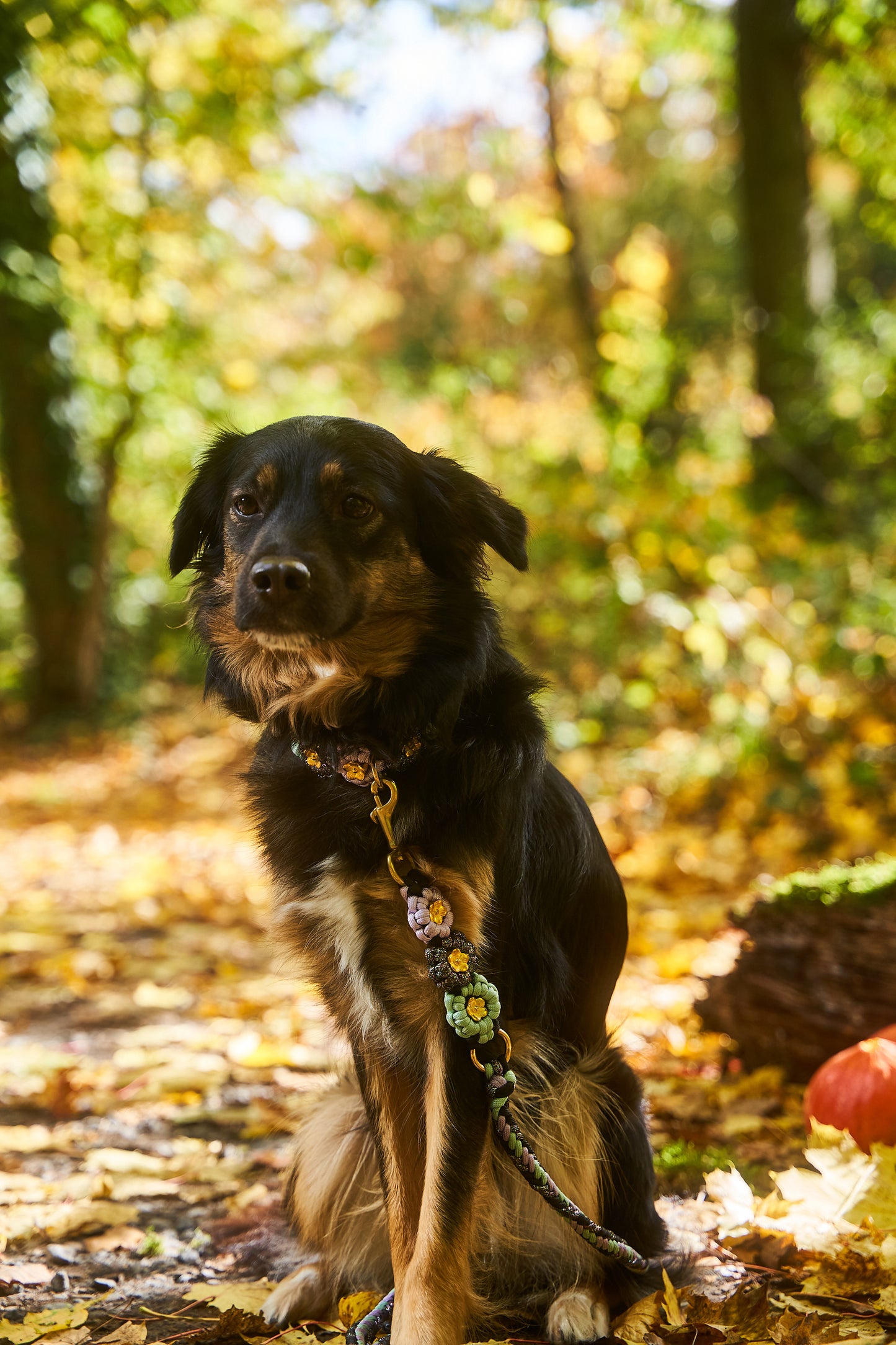 Extra: integrierte Blumen