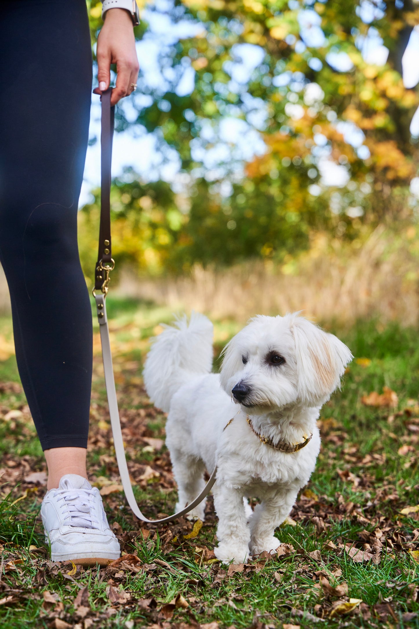 Biothaneleine „Bi-Color“