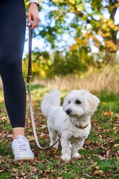 Biothaneleine „Bi-Color“