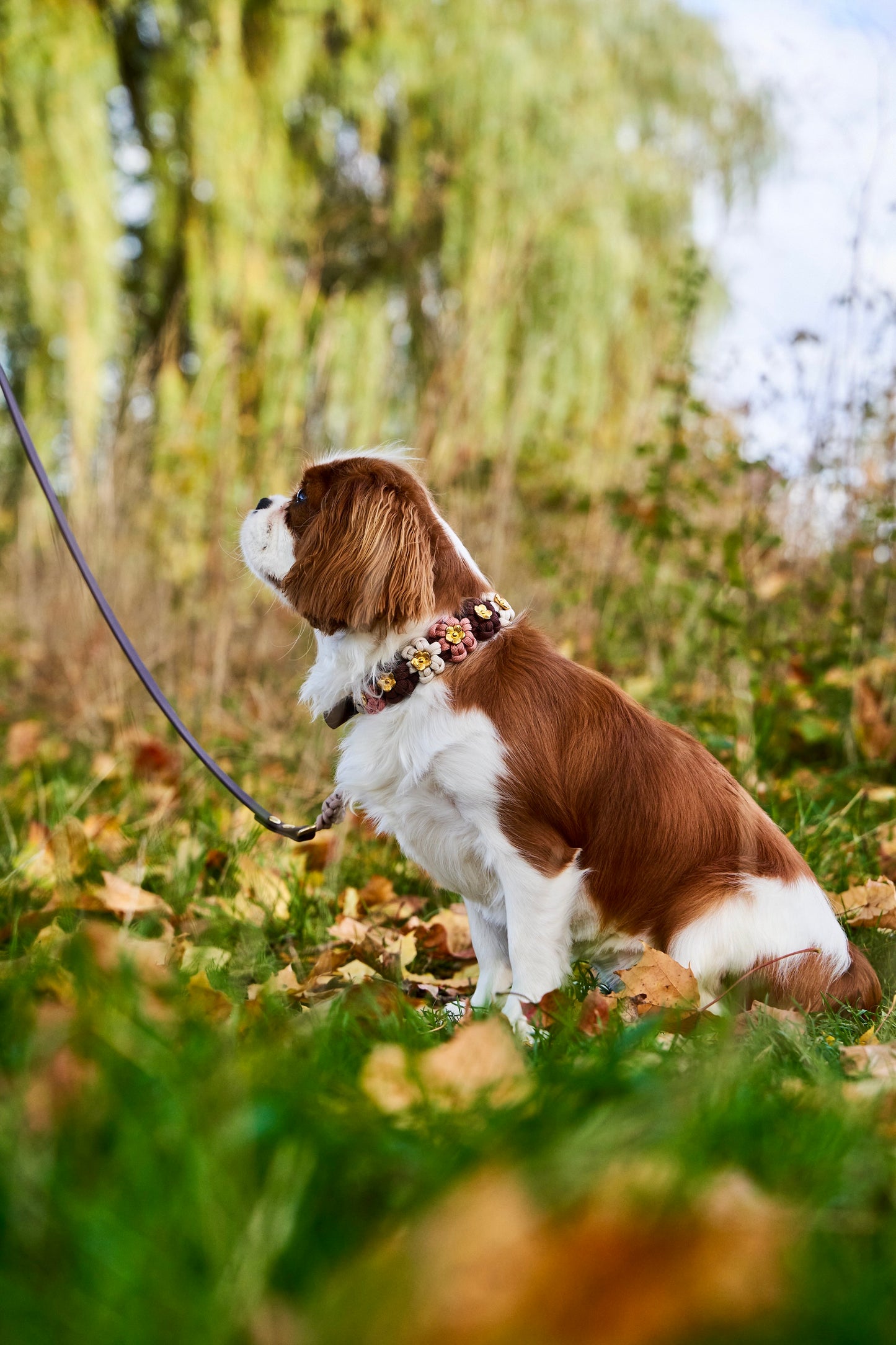 Halsband „Blümchen"