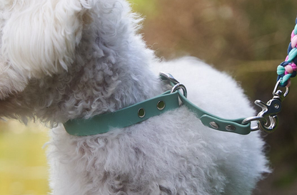 Zugstopphalsband Biothane