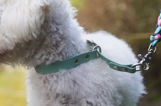 Zugstopphalsband Biothane