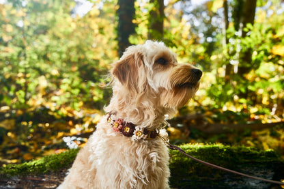 Halsband „Blümchen"