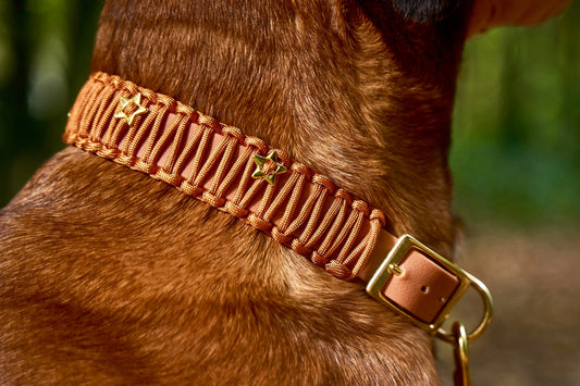 Halsband „Fledermaus"