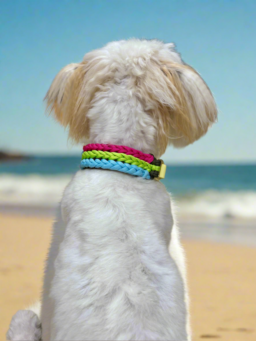 Halsband “Frechdachs“