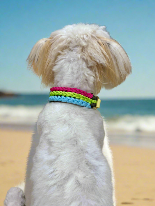 Halsband “Frechdachs“