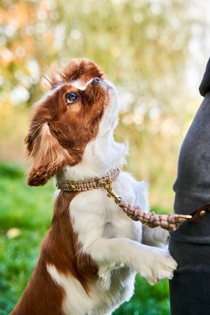 Halsband „Liebling“