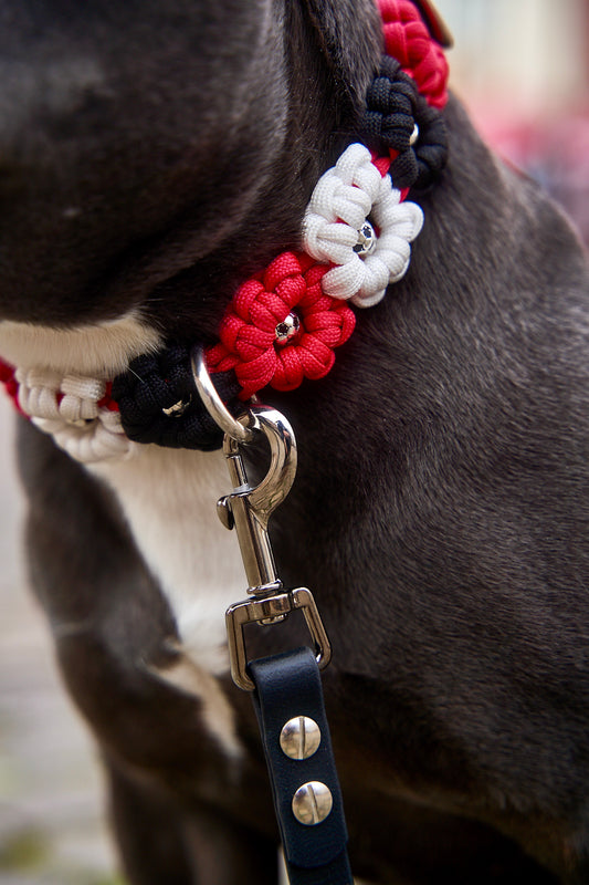 SGE - Halsband „Blümchen"