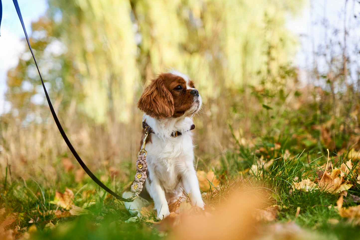 Extra: integrierte Blumen