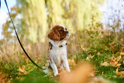 Extra: integrierte Blumen