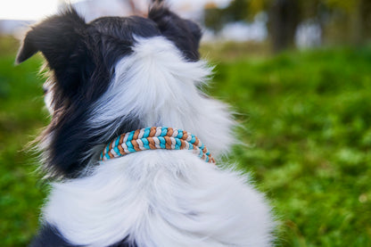 Halsband „Struppi"