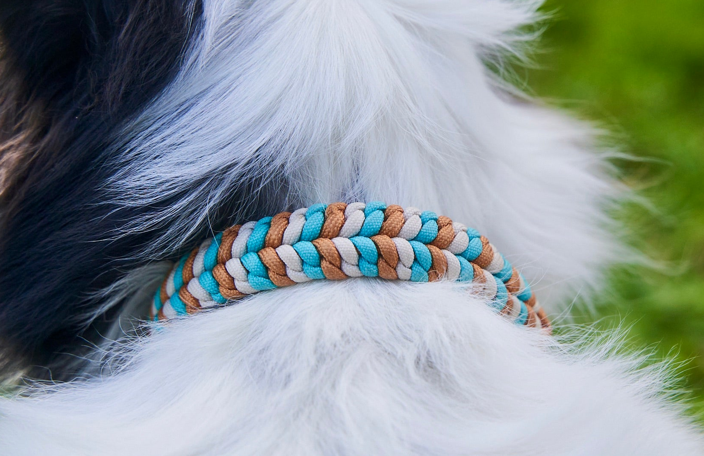 Halsband „Struppi"