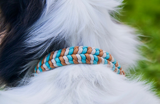 Halsband „Struppi"