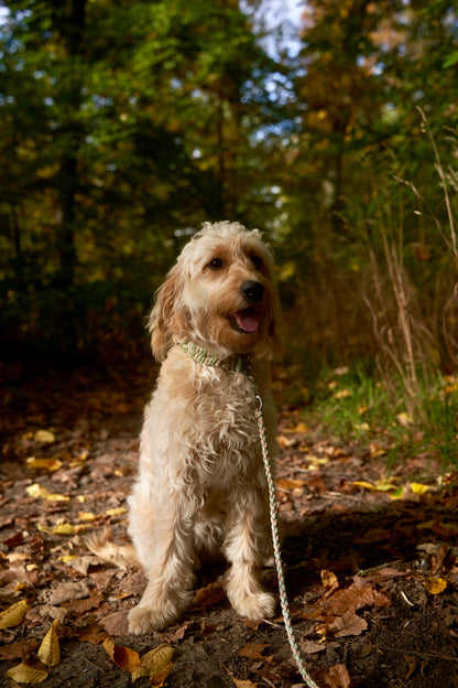 Leine „Kleine Biene"