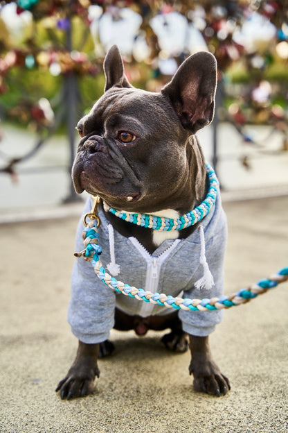 Halsband „Struppi"