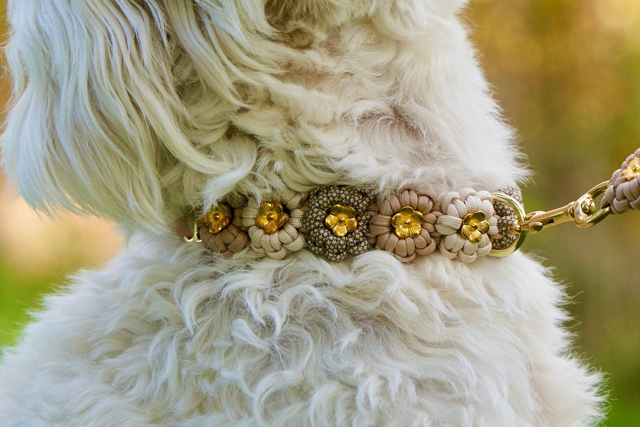 Halsband „Blümchen"