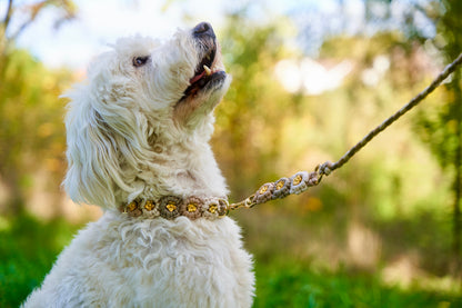 Halsband „Blümchen"