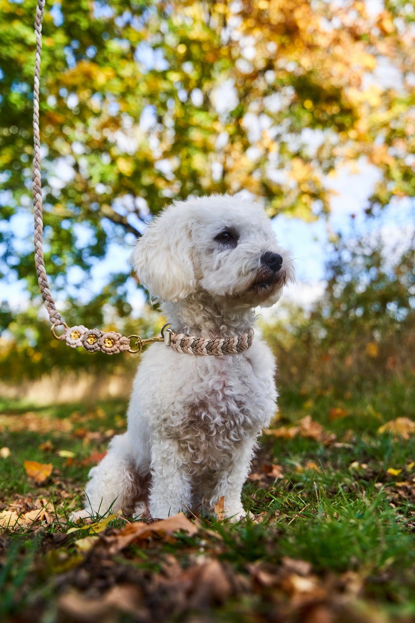 Extra: integrierte Blumen